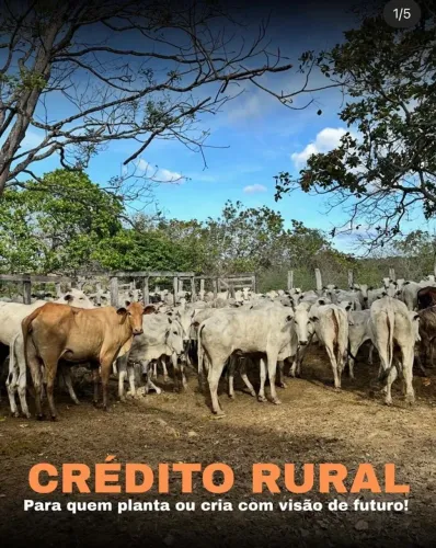 RuRal
