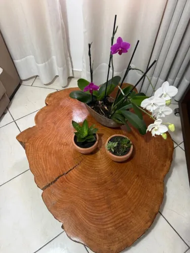MESA DE CENTRO TRONCO DE ÁRVORE