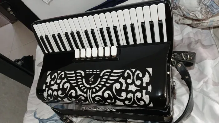 Acordeon  Elkavox