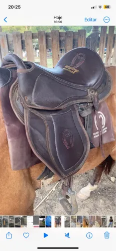 Sela australiana