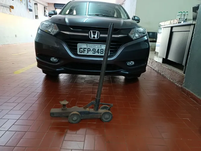 Macaco fórmula 1