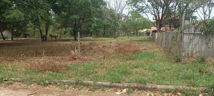 Plano local maravilhoso 