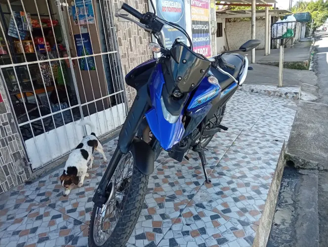 XTZ LANDER 250