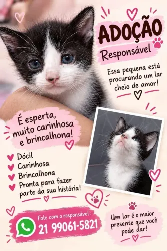 Gatinha Fêmea