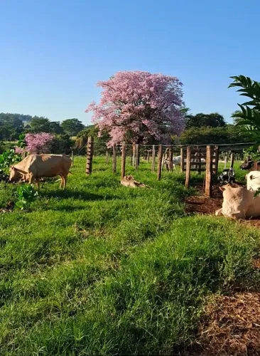 Chácara Três Fronteiras