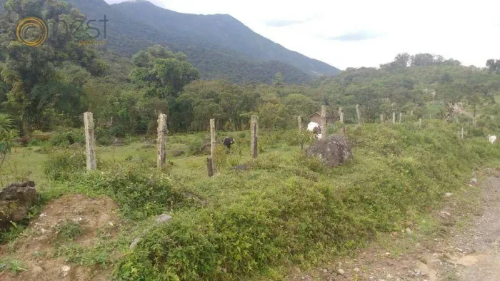 Área à venda, m² por R$ 20.000.000,00 - Paiol de Baixo - Campina Grande do Sul/PR