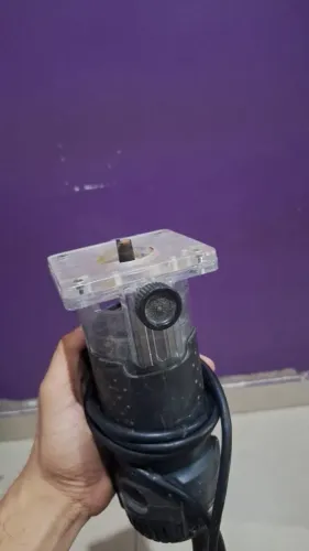 Tupia