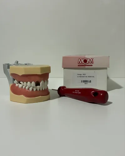 Manequim de prótese fixa MOM código 3031