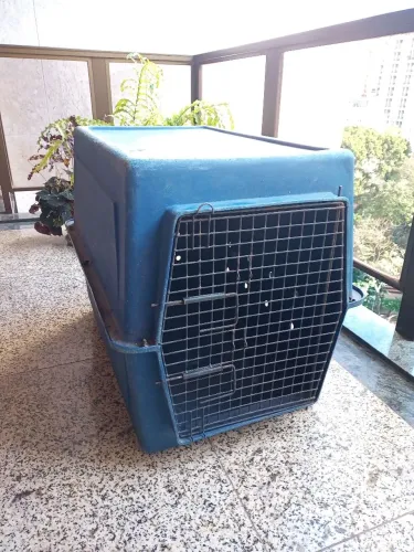 Caixa de Transporte nº6 Cão Grande Parafusada Azul - Usada - Robusta - Sem Rodas e Alça