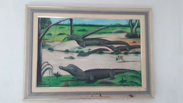 Quadro jacaré pantanal