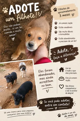 adote um filhote