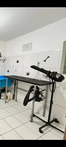 PET SHOP - BANHO E TOSA