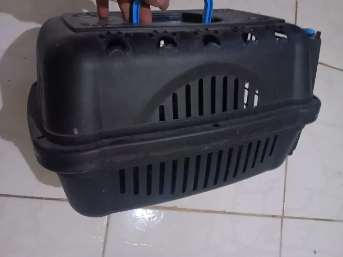 Caixa de transporte animais 
