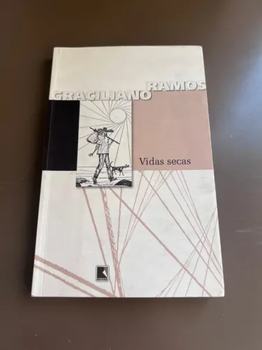 Livros diversos (VIDAS SECAS - GUERRA NAO TEM ROSTO DE MULHER - 13)