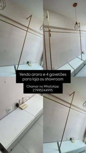 Arara com baú