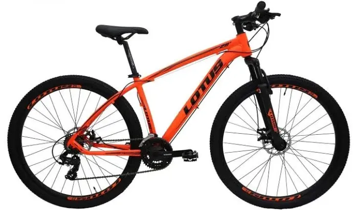 Bikes Lótus aro 29