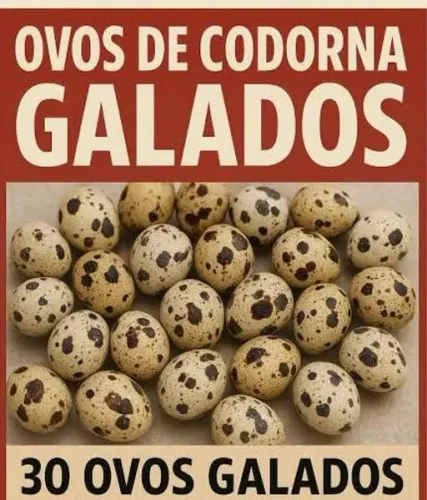 Ovos de Codorna Japonês Galados