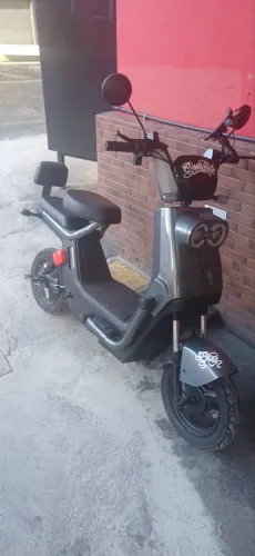 Vendo scotte 