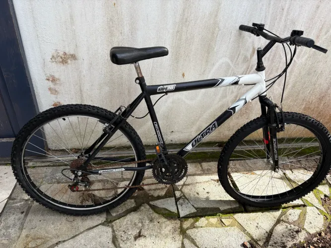 Bicicleta Adulto Usada