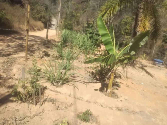 Chácara a venda em sítio novo município de Mateus leme mg
