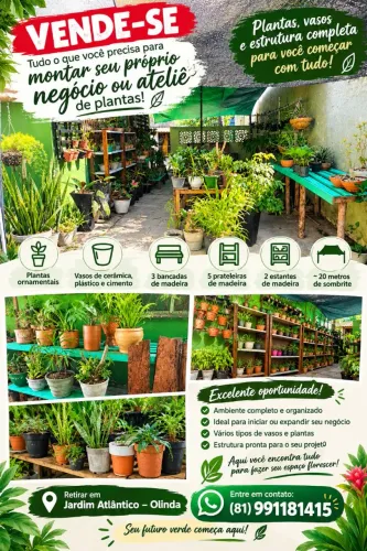 VENDE-SE: ESTRUTURA COMPLETA PARA MONTAR SEU PRÓPRIO NEGÓCIO OU ATELIÊ DE PLANTAS!
