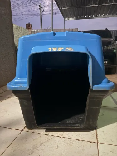 Casinha de cachorro 