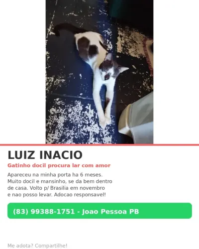 Adoção responsável