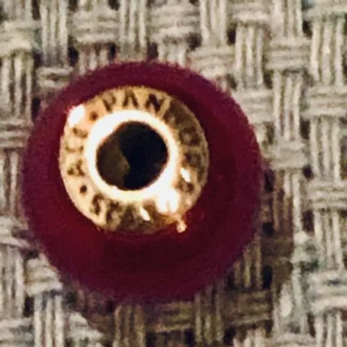 Charm Pandora