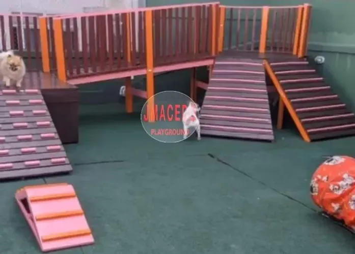 Brinquedos área pet/ cachorros 