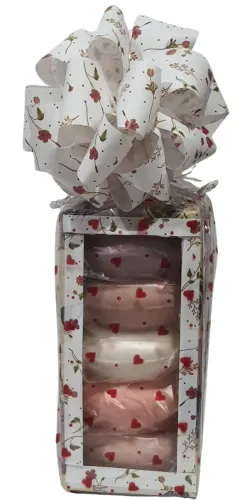 Presente Especia Dia das Mães Sabonete Naura Tododia Sortido com Sacolinha e Mini Cartão 
