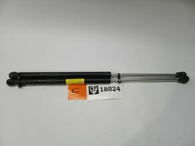 Par Amortecedor Tampa Traseira Ford Focus 2012