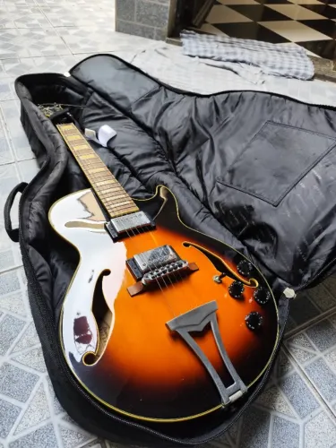 Guitarra Semi-Acústica Ibanez Ag75 + Capa Ritter + Brinde