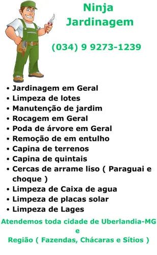 Jardinagem / Cercas / Passeio / Desinsetização