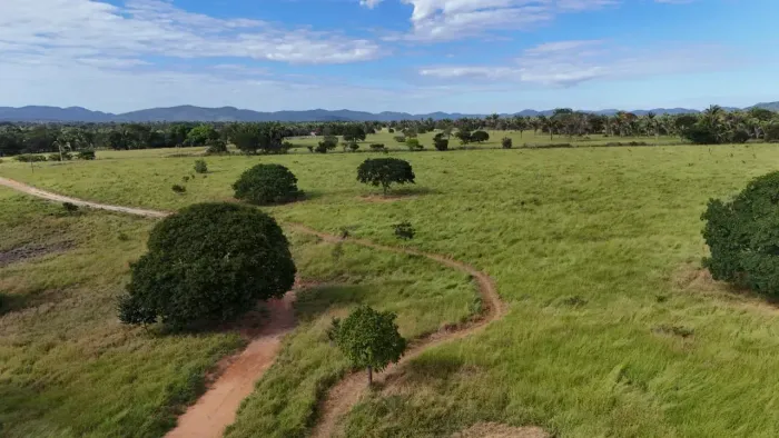 Fazenda a venda Município de Jussara 6 alqueires - GO