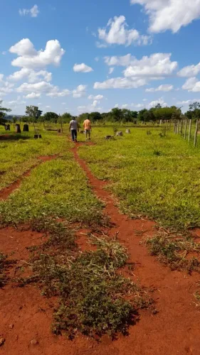 LOTE AREA RURAL