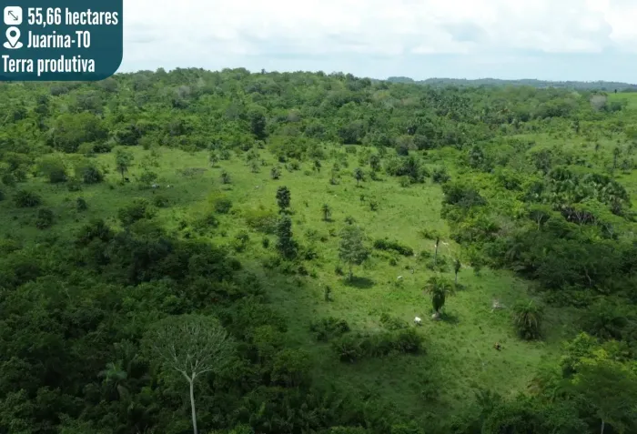 55 HECTARES COM CÓRREGO PERENE | DOCUMENTADA | OPORTUNIDADE