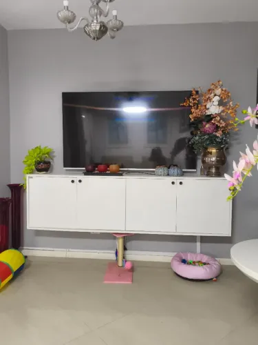 Tv Philco 65 para retirada ou concerto a tela está escura