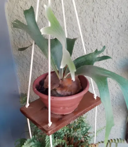 Prateleira em madeira peroba