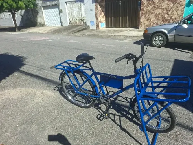 Bicicleta cargueira