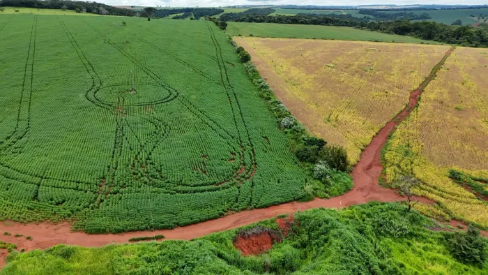 Fazenda de 70 Alqueires