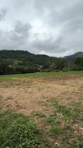 Área de terra em três coroas linha café baixa 