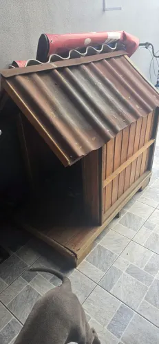 Casa de cachorro porte grande