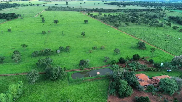 Sítio em Bela Vista de Goiás - 6.12 Alqueires - Go 020