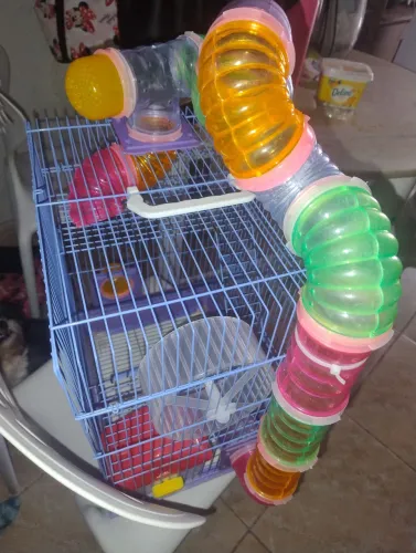 Gaiola hamster 