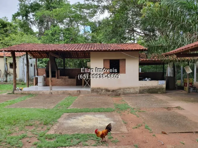 Chácara de 1,5 hectares no distrito da Guia com 65m de frente p o Rio