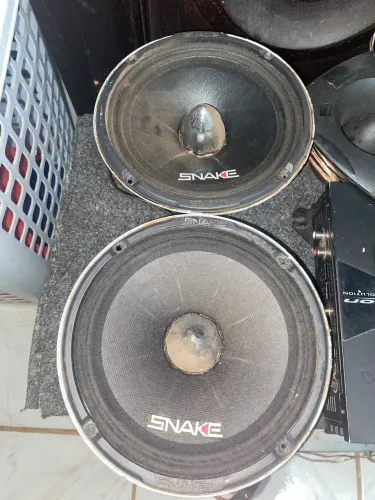 Par snake 220rms