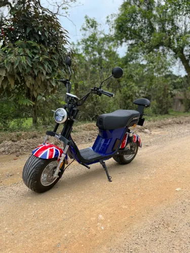 Scooter Harley x16