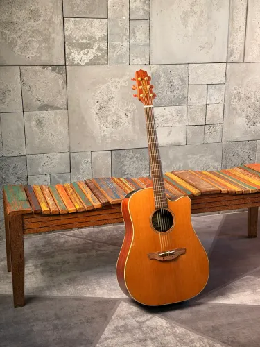 Takamine Ean10c japonês