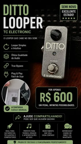 Ditto looper mini tc electronics