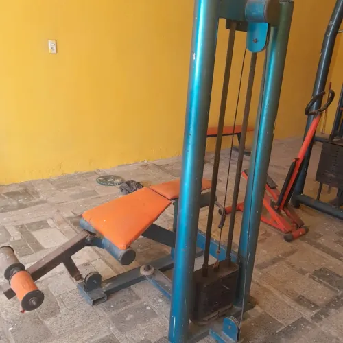 Mesa flexora